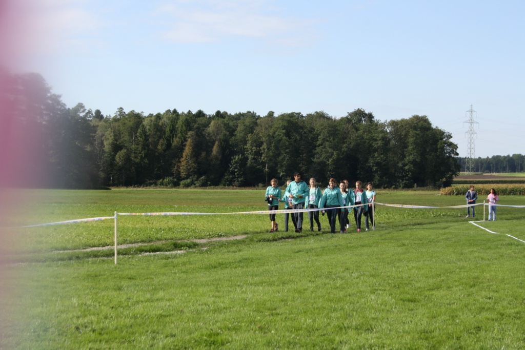 Bild 1 (64)